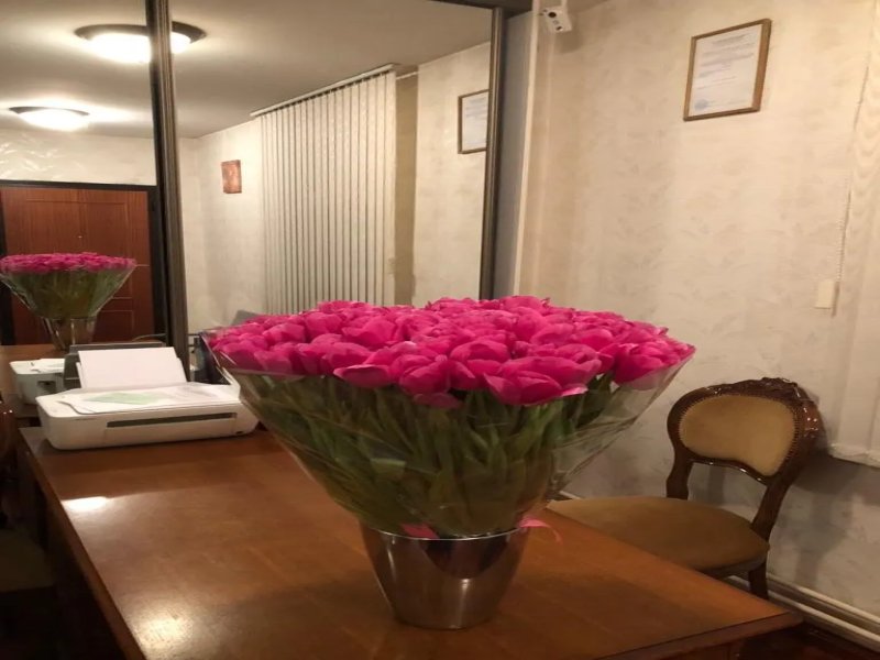 Sad 2, Московская область: фото 5