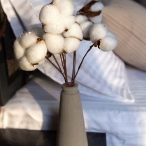 ESENIN LOCUS, Новосибирская область: фото 4