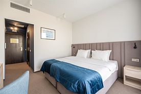 Стандартный номер с 1 большой кроватью/Standard room with 1 large bed, Парк-отель Чайка, Песчанокопский