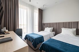 Стандартный номер с двумя раздельными кроватями/Standard Room with 2 single beds, Парк-отель Чайка, Песчанокопский