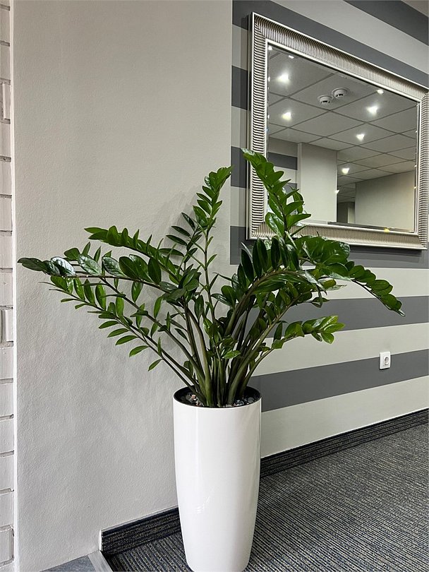 Гостиница Авеню, Омская область: фото 2