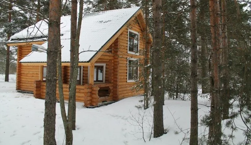 Пилигрим, Ленинградская область: фото 4