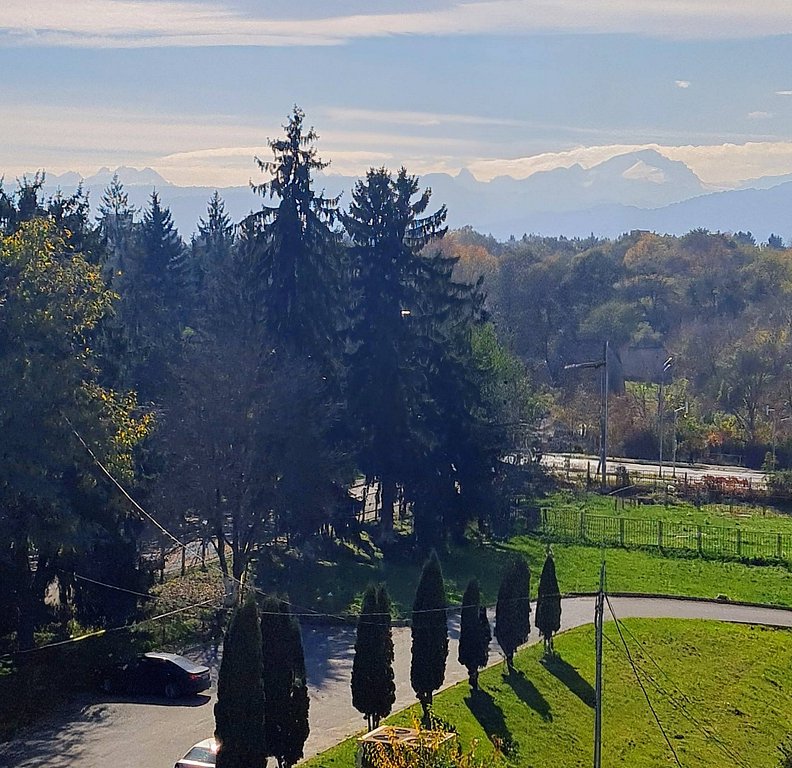 Фото из отзыва от 16.10.2025