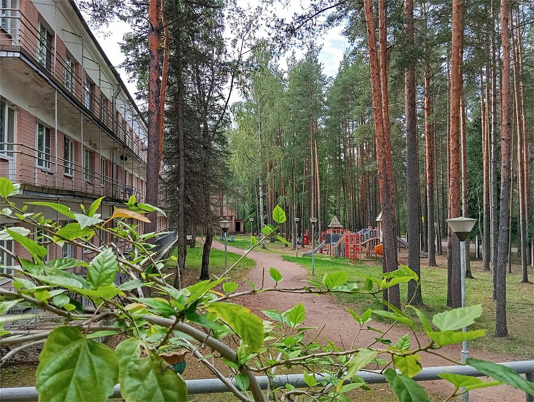 Дом отдыха Комарово, Ленинградская область, поселок Комарово Ильичево Сертолово поселок Ольшаники Курортный район поселок Ленинское