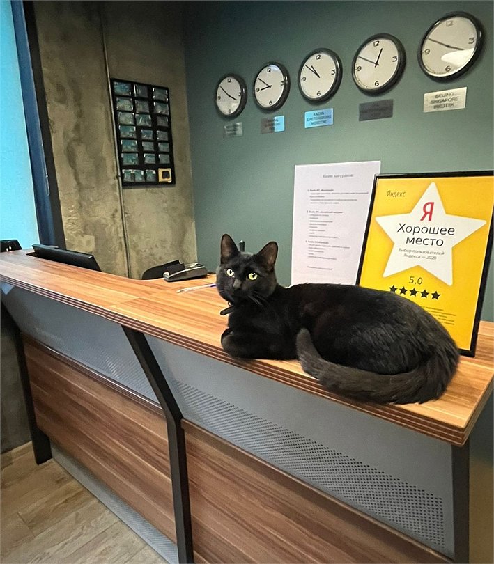 Sibgat Apartments, Республика Татарстан: фото 4