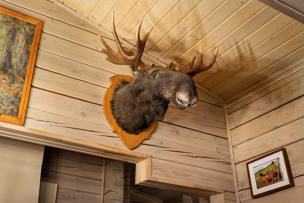 Дом 8-местный 5-комнатный (Президентский)