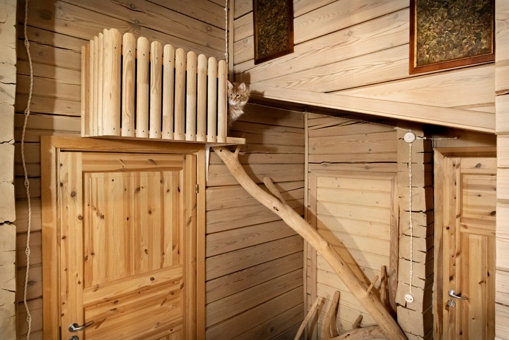 Дом 8-местный 5-комнатный (Президентский)