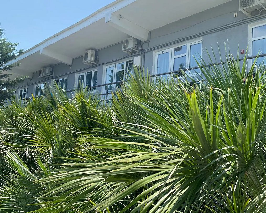 Внешний вид | Золотой Огонёк, Краснодарский край