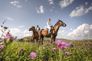 Верховая езда / Конные прогулки — Отель «Altai Palace Курорт Сибирская Монета», урочище Каим