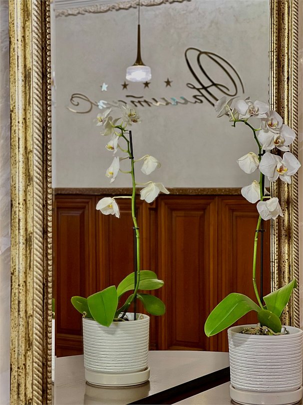 Эрмитаж, Ростовская область: фото 4