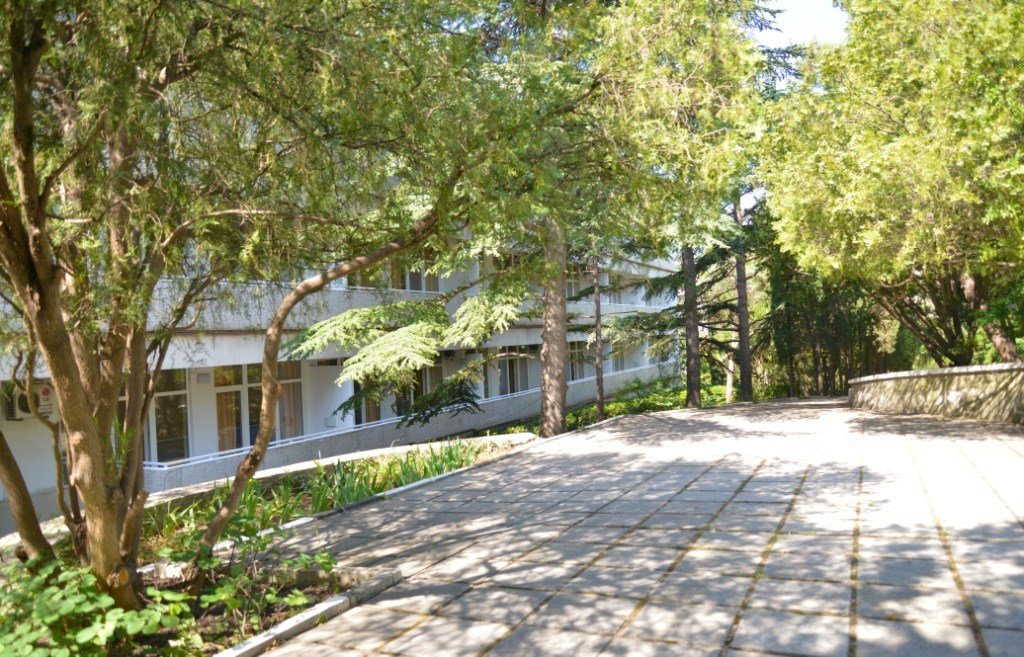 Гостиница Адмирал Ялта, Крым: фото 2