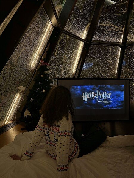 Домик 2-местный 1-комнатный (NEO Tipi)