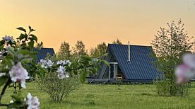 Домик Standard, Бутик-отель Woody Village Riverside, Дубна
