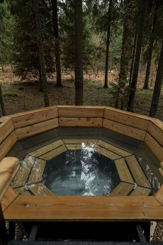 Дом Вдохновение 4-местный 3-комнатный (входит лесная ванна)