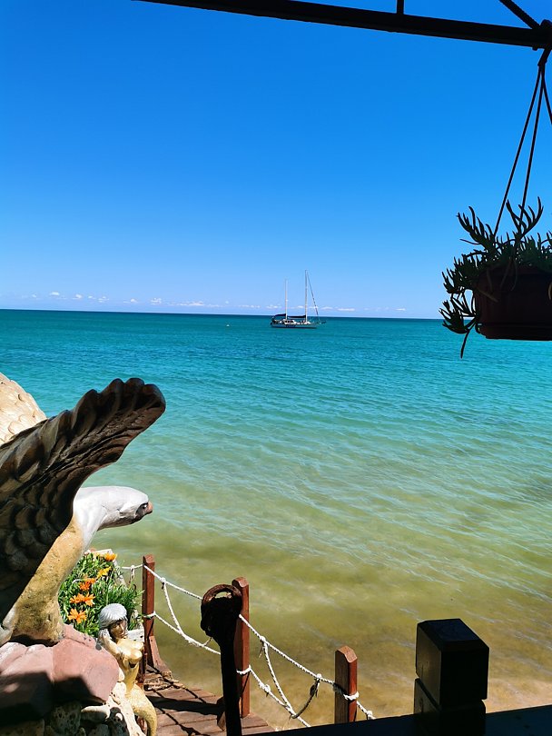 Вид | Маринер, Крым