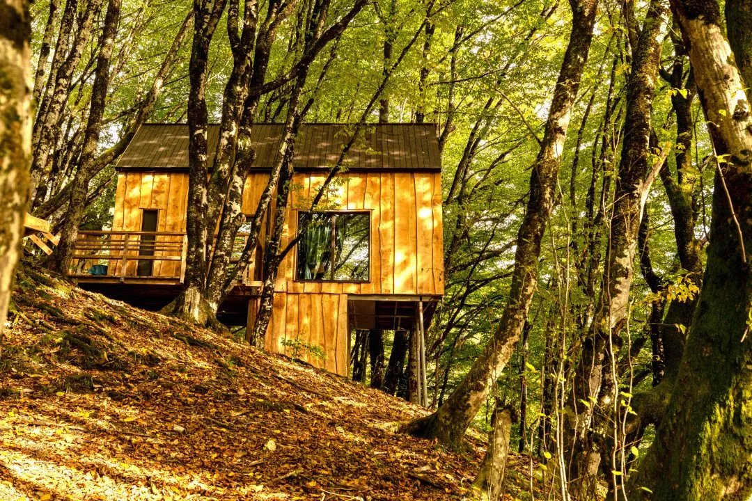 Внешний вид. Домик. Территория | Dom Village, Краснодарский край