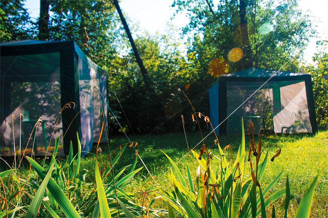 Формула за Рулем, Московская область: фото 3