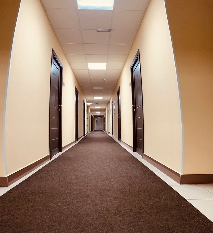 Наш Питер, Ленинградская область: фото 3