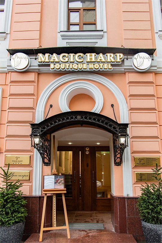 Magic Harp, Московская область: фото 2