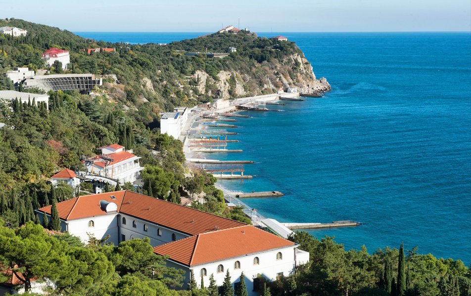 Сосновая роща, Крым: фото 5