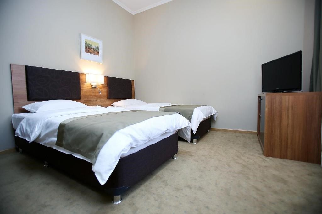 Deluxe 2-местный 1-комнатный (TWIN)