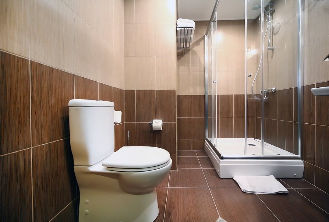 Deluxe 2-местный 1-комнатный (TWIN)