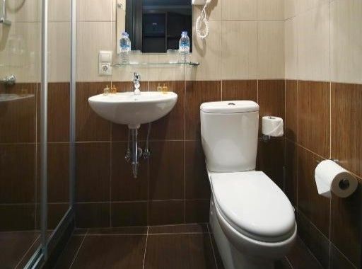 Deluxe 2-местный 1-комнатный (TWIN)