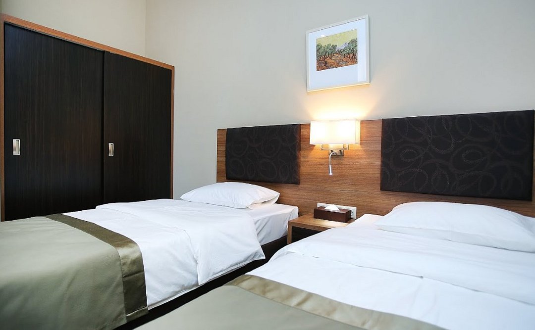 Standart 2-местный 1-комнатный (TWIN)