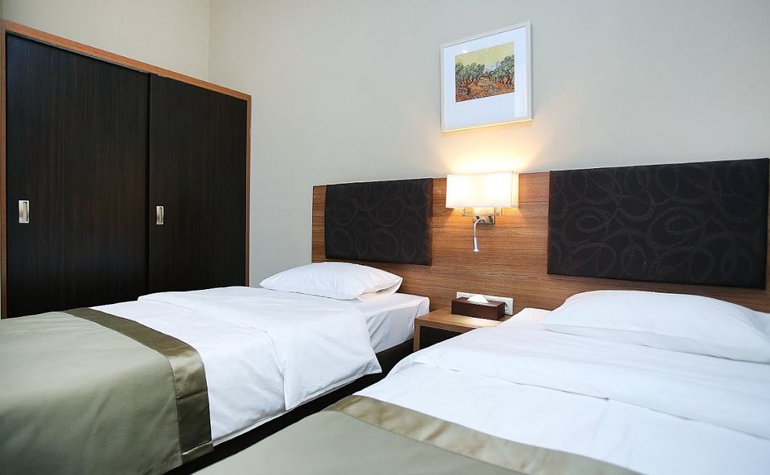 Standart 2-местный 1-комнатный (TWIN)