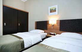 Superior 2-местный TWIN, Отель Tskaltubo Plaza, Цхалтубо