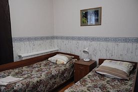 Стандарт 2-х местный с питомцами, Санаторий Красный Бор, Смоленск