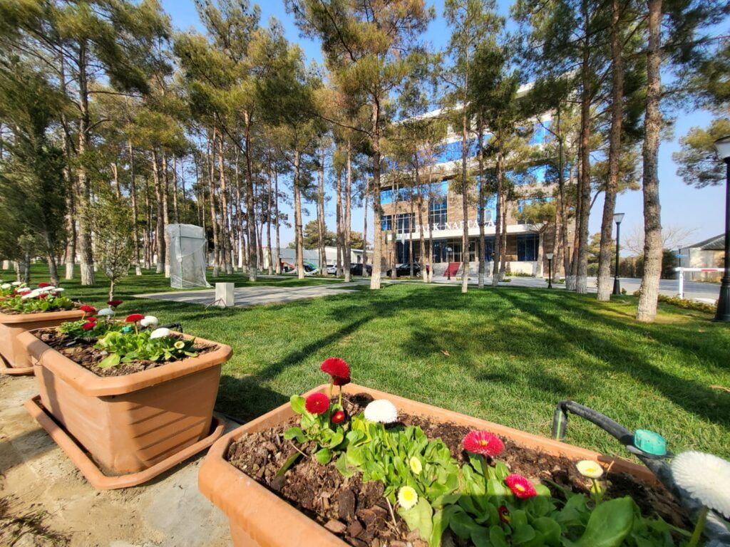 Внешний вид | Park Naftalan, Гянджа-Дашкесанский экономический район