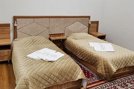 Стандарт 2-местный 1-комнатный (корпус 1), Санаторий Янгиер, Янгиер