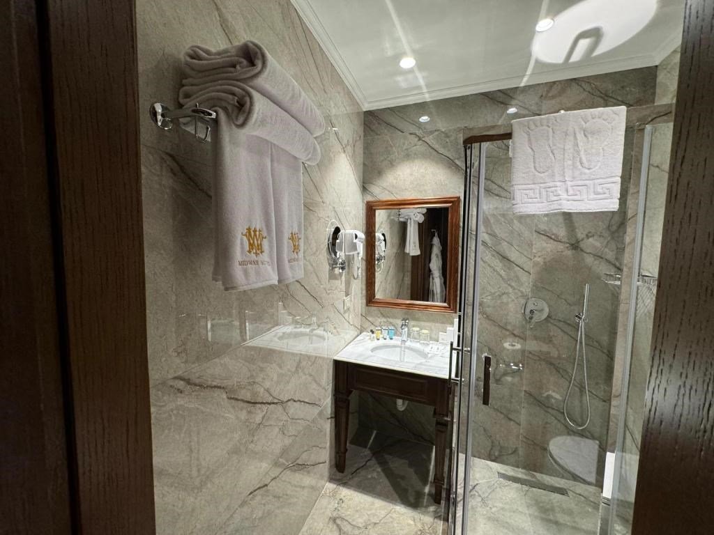 Deluxe 1-местный 1-комнатный (city view)