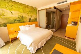 Standard 2-местный(DBL), Пансионат Baytur Resort & SPA, Бостери