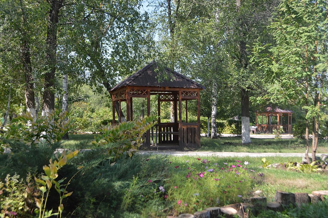 Общий вид | Ударник, Саратовская область