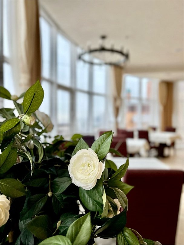 Дон Кихот, Ростовская область: фото 4