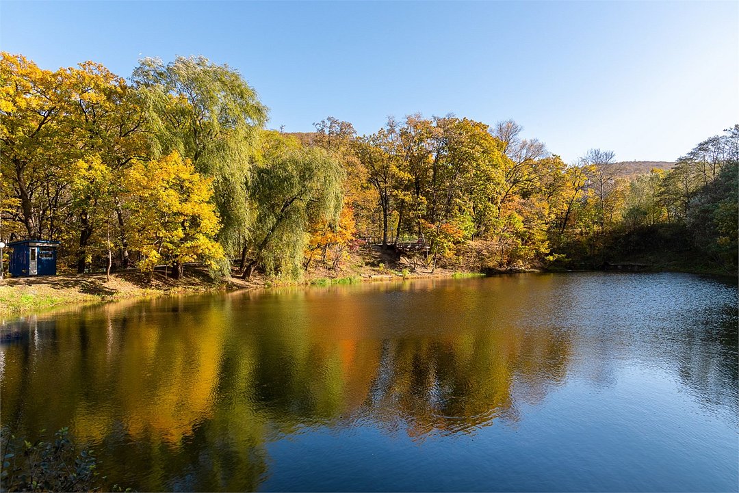 Седанка Парк, Приморский край: фото 4