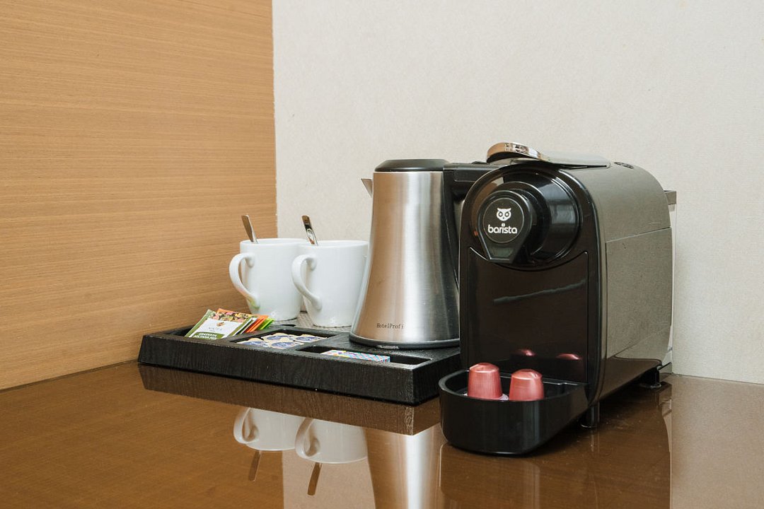 Стандартный 2-местный 1-комнатный (вид на горы)