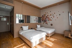 Стандарт 2-местный с 1 спальней TWIN, Отель Ibis Styles Krasnaya Polyana, Эстосадок