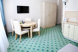 Apartment/Апартамент (Студия) двухместный двухкомнатный с мини-кухней, 1 Корпус, Гостиничный комплекс Теплое море, поселок Славянка