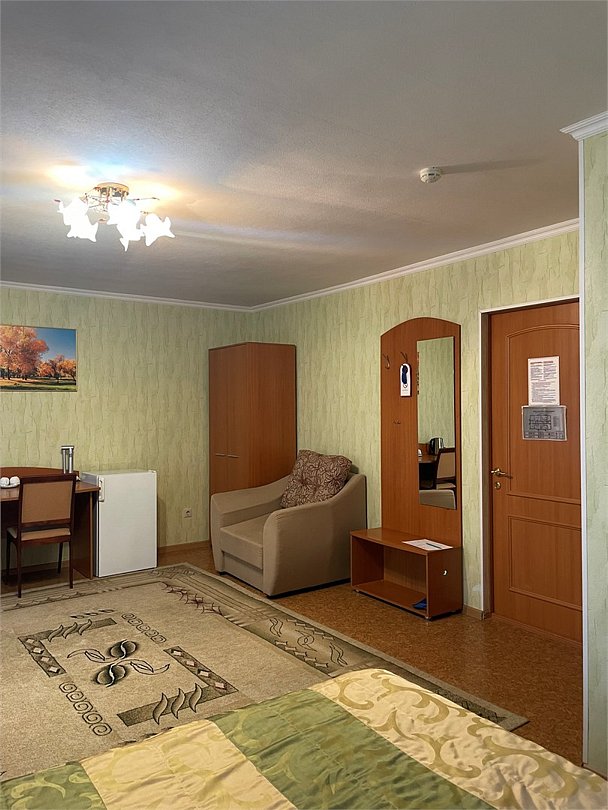 ДИС, Республика Татарстан: фото 5