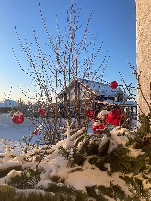 Суворова 26, Владимирская область: фото 3