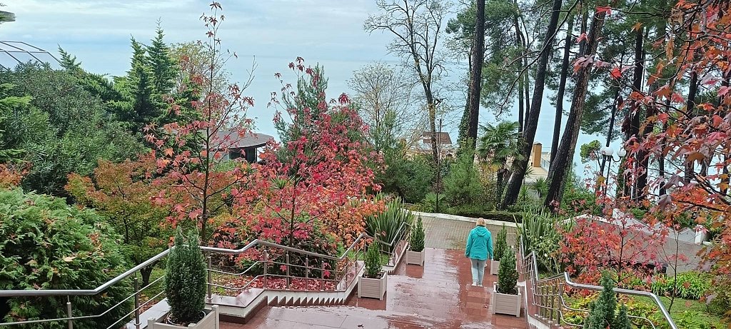 Фото из отзыва от 13.11.2025