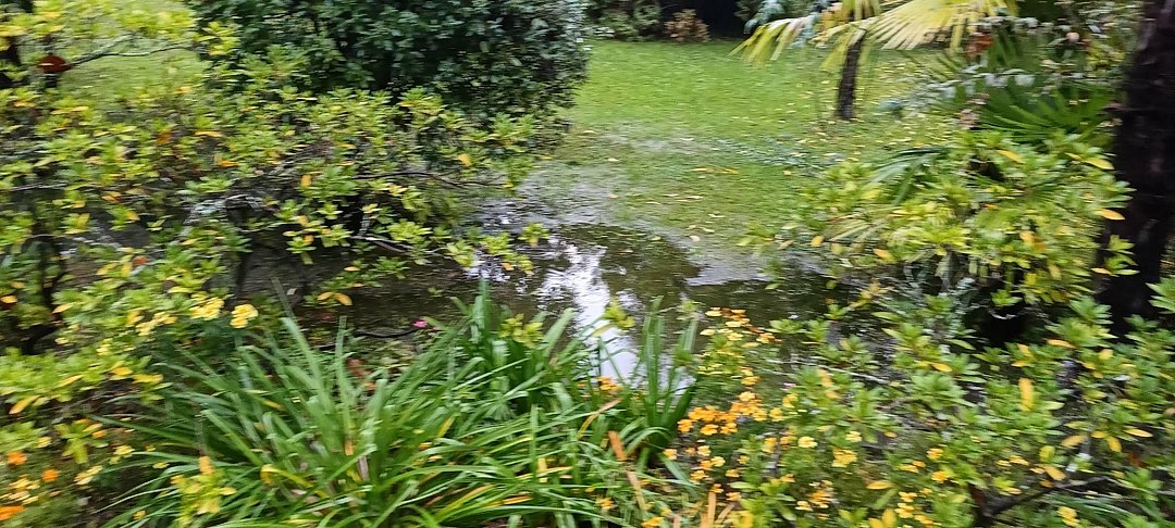 Фото 7 из отзыва о санатории Санаторий Беларусь