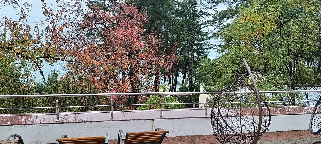 Фото 8 из отзыва о санатории Санаторий Беларусь