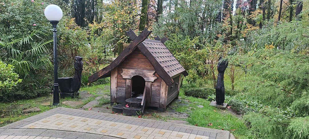 Фото 4 из отзыва о санатории Санаторий Беларусь