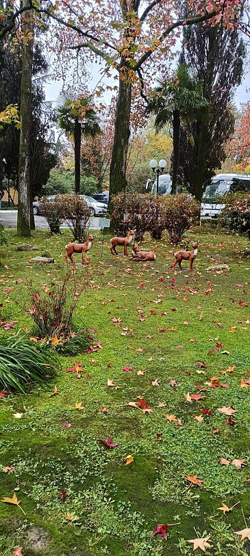 Фото 10 из отзыва о санатории Санаторий Беларусь