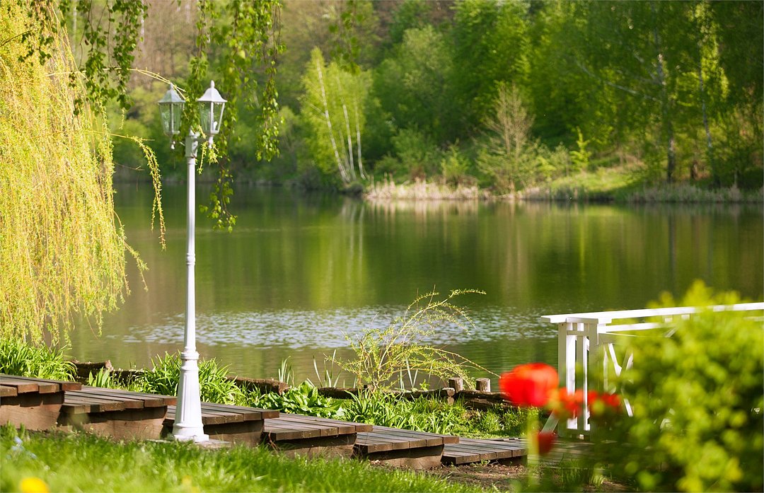 Мечта, Орловская область: фото 4