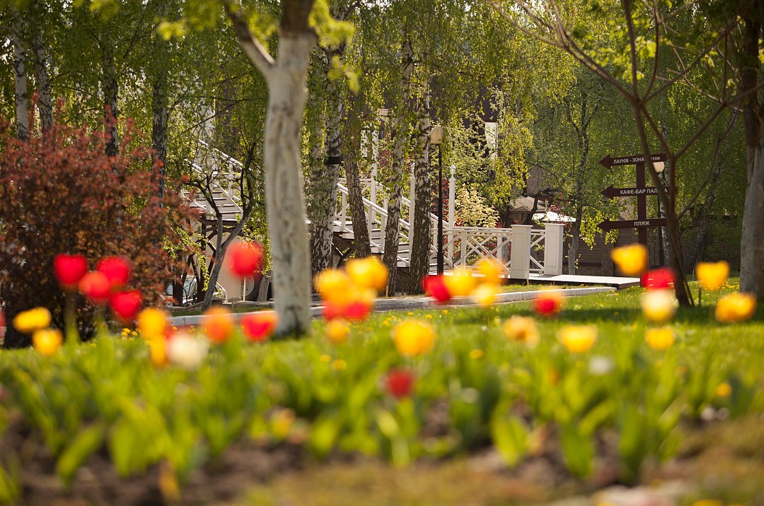 Мечта, Орловская область: фото 2
